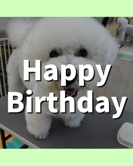 大吉ちゃん🐶
お誕生日おめでとうございます🎂⭐️
あんずちゃんに遊びに誘われていたり、大好きなぽん太達と楽しそうに遊んでいました🎶
🐾🐶愛犬のお悩みご相談ください🐶🐾
@kenkohmura_official
↑フォロー待ってます↑
〒955-0091 新潟県三条市上須頃大割428−1
☎︎ 0256-35-2571
✉️ info@kenkohmura.jp
HP: http://kenkohmura.jp
LINE: https://lin.ee/7LIz5sb
#犬幸村#犬の幼稚園 #吠える噛む #犬のしつけ #トイレ
ビションフリーゼ ビションフリーゼ可愛い ビションフリーゼ大好き